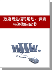 政府网站(群)规划、评测与咨询白皮书