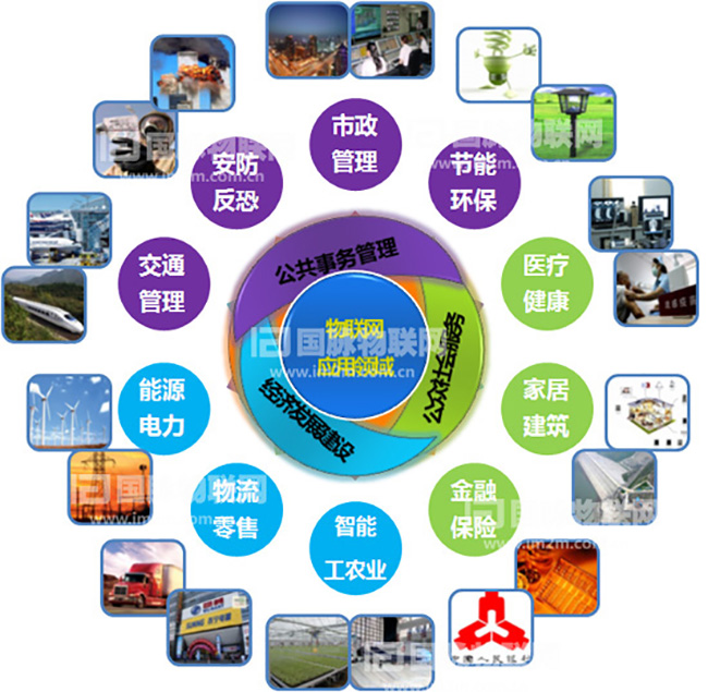 杨冰之：重视物联网在关键产业的应用