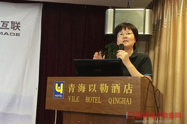 永乐高ylg888888互联总经理、首席规划师郑爱军正在进行《政府网站+评估体系构建思路》的主题演讲